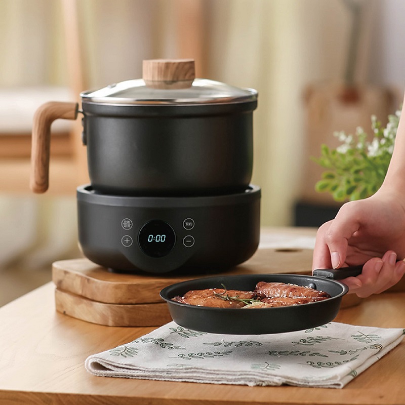 110V/220V Multifunctionele Ele - Fondue Set Electric recensie en prijs